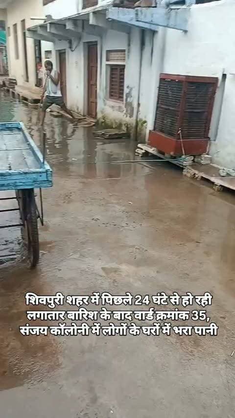 शिवपुरी शहर में पिछले 24 घंटे से हो रही लगातार बारिश के बाद वार्ड क्रमांक 35, संजय कॉलोनी में लोगों के घरों में भरा पानी