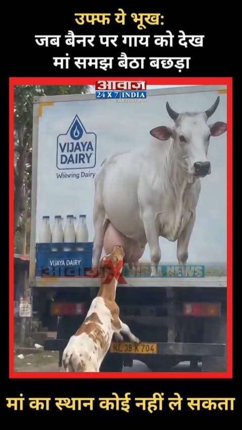 उफ्फ ये भूख: जब बैनर पर गाय को देख मां समझ बैठा बछड़ा! मां का स्थान कोई नहीं ले सकता
#AwaazIndiaNational #CowViralVideo #Milk #SocialMedia #TrendingReels