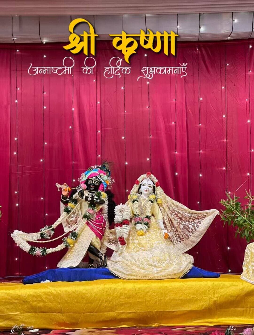 श्री कृष्ण जन्माष्टमी की हार्दिक शुभकामनाएँ 🫶🏻🦚