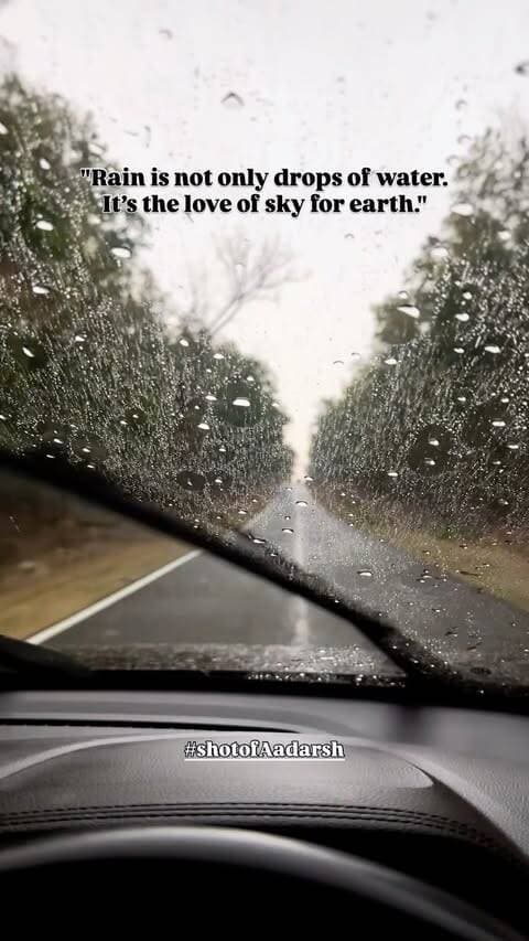 #naturelovers #rainyday #kanha kisli #reelitfeelit #travelphotography