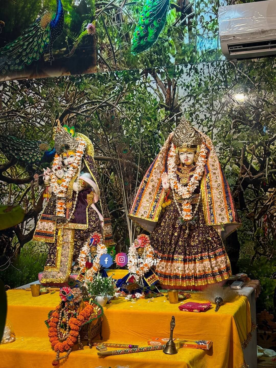 शुभ कृष्ण जन्मोष्टमी..🙏 #pyararajgir #rajgir #krishnajanmashtami