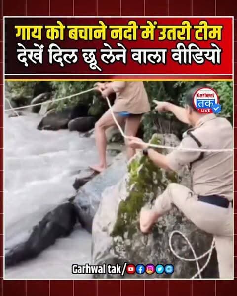 News video thumbnail