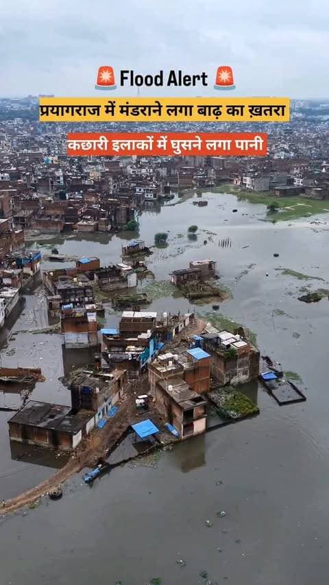 चित्रकूट के बाद अब प्रयागराज में भी बाढ़ का खतरा मंडराने लगा प्रयागराज के निचले इलाकों में जलस्तर तेजी से बढ़ रहा है जिससे रहने वाले लोगों को अनेक समस्याओं का सामना करना पड़ रहा है
@prayagraj_highlights
#prayagraj #floodalert #floodnews #flood #prayagrajnews