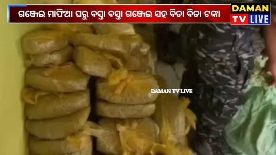 ନିଶାମୁକ୍ତ ଅଭିଯାନରେ ପୁରୀ ପୋଲିସ ସଫଳତା ରେଡହାଣ୍ଡରେ ଗଞ୍ଜେଇ ମାଫିଆ ଘରୁ ବସ୍ତା ବସ୍ତା ଗଞ୍ଜେଇ ସହ ବିଡା ବିଡା ଟଙ୍କା ଜବତ ଘଟଣା ସ୍ଥଳରେ SP ପ୍ରତୀକ ସିଂ ଉପସ୍ଥିତ#ପୁରୀ#damantv