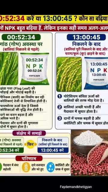 🌾धान में कौन सा NPK Khad कब और कैसे डालें ? ✅️ #farming #फायदेमंद_खेती_ज्ञान #shorts