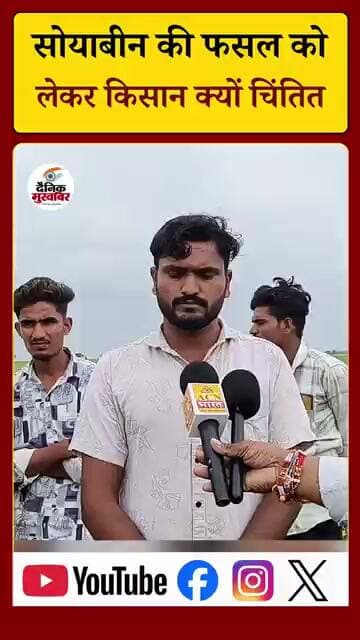 सोयाबीन की फसल को लेकर किसान क्यों चिंतित?...#मध्यप्रदेश #राजगढ़ #किसानकीआवाज़ #Soybean #Farmer