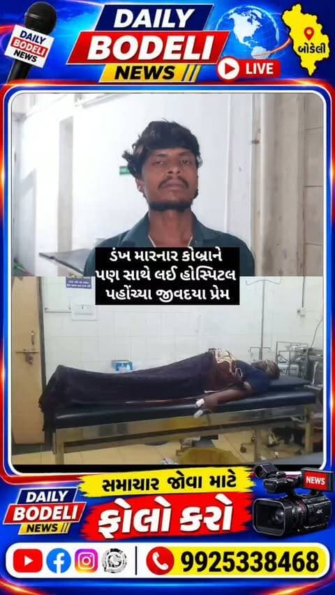 ડંખ મારનાર કોબ્રાને પણ સાથે લઈ હોસ્પિટલ પહોંચ્યા જીવદયા પ્રેમ
#Bodeli #Chhotaudepur #GujaratNews #BreakingNews #LocalNews TrendingNews ViralPost NewsUpdate IndiaNews DailyNews BodeliNews GujaratiNews FacebookViral ShareNews LatestNews