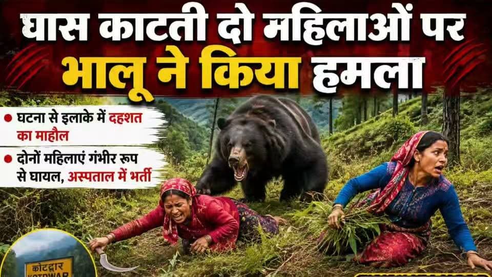 घास काट रही दो महिलाओं पर भालू ने किया हमला, एक की मौत, दूसरी गंभीर घायल...
#news #uttrakhand #tranding #kotdwar #chamoli
