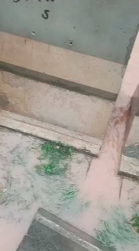 🚨 शिवपुरी: NH-46 पर ककरवाया के पास जलभराव से लगा लंबा जाम