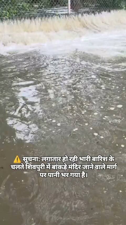 ⚠️ सूचना: लगातार हो रही भारी बारिश के चलते शिवपुरी में बांकड़े मंदिर जाने वाले मार्ग पर पानी भर गया है।
🌊 पानी का तेज बहाव होने से आवागमन प्रभावित/अवरुद्ध है लोगों से सावधानी बरतने की अपील।