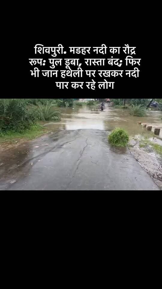 #viral #goankiawaaz #गांवकीआवाज #shivpuri