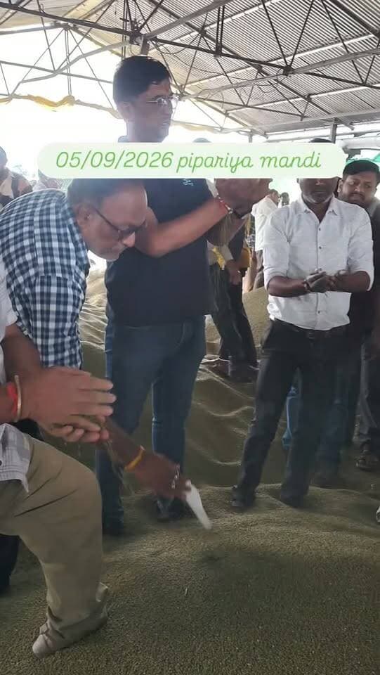 Moong bhav 05/09 #teachers #day #moong #mandi