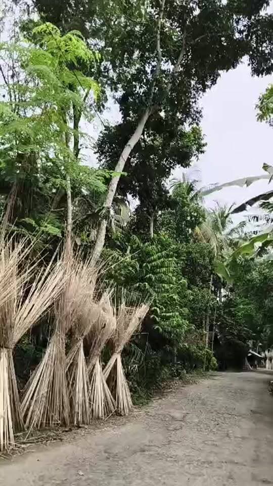 মেঘলা আকাশ, বি•ক্ষিপ্ত বৃষ্টির সম্ভাবনা! উত্তর ২৪ পরগনার আজকের আবহাওয়ার সর্বশেষ আপডেট ।