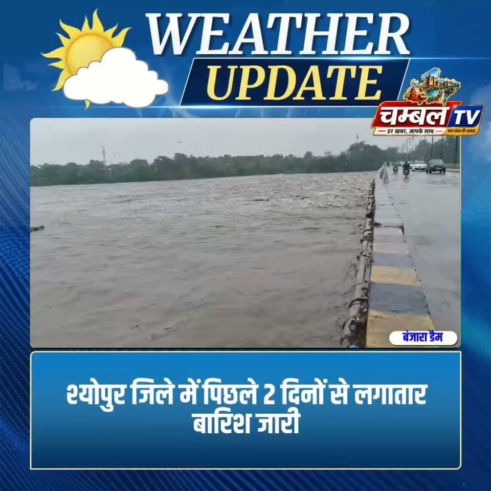 श्योपुर में बंजारा डैम पर नदी का जलस्तर अभी पुल के नीचे, लोगों से अपील सुरक्षित रहें। ChambalTV
#श्योपुर #sheopur #चंबलटीवी #JansamparkMP #LiveNews #livenewshindi #newseason #MadhyaPradesh #vijaypur #breakingnews #Beerpur #HindiNews #chambaltv #newsupdate #समाचार #newsfeed #news #खबर #मुरैना #Chambalnews