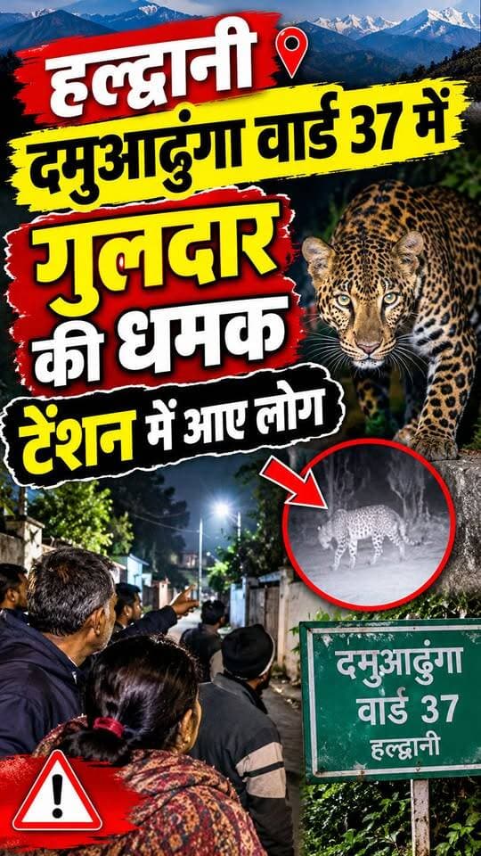 #हल्द्वानी में गुलदार की धमक से टेंशन में लोग।।