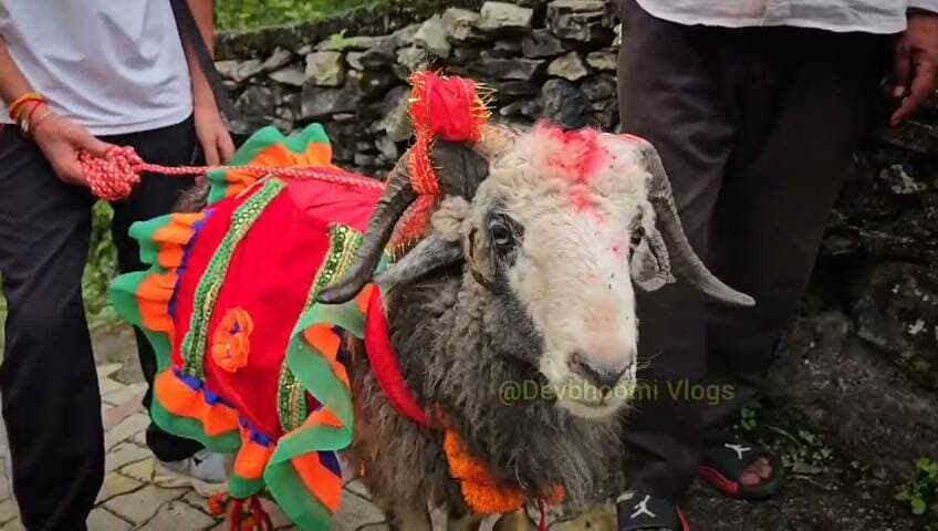 #जय माँ राजराजेश्वरी,मां की लोक व राजजात हुई शुरू
