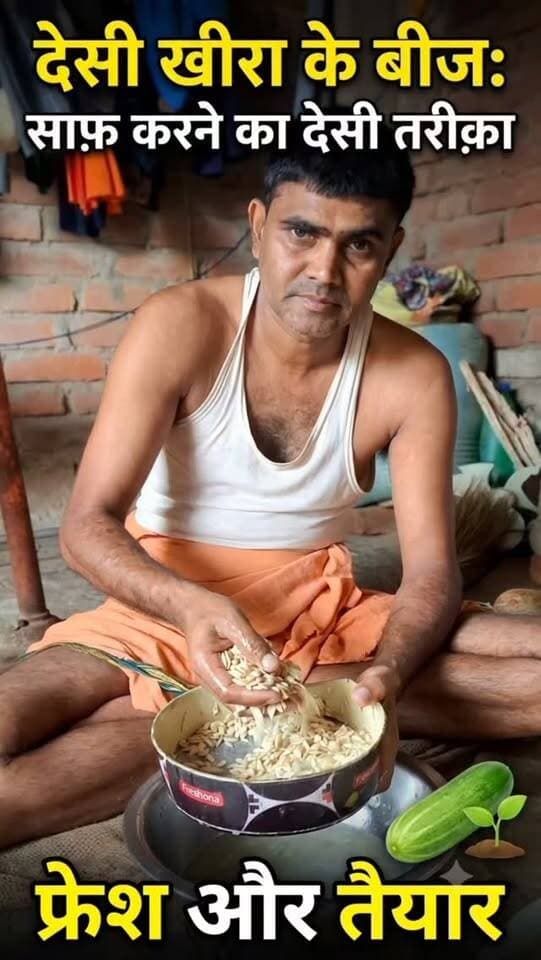 देसी खीरा के बीज को चलनी से साफ करके फ्रेश किया जा रहा है। 🌱🥒 #देसीखीरा🥒 #बीजसंग्रह #farminglifetrending_reels_💸kisan_desi🧒_👳❤️ #shortreelvideo🙏❤️ #farminglife🌾👨🌾 Yogendra Prajapati