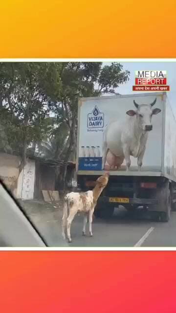 Social।Media पर जमकर Viral हो रहा ये Video! बटोर रहा सुर्खियाँ! #viralvideo