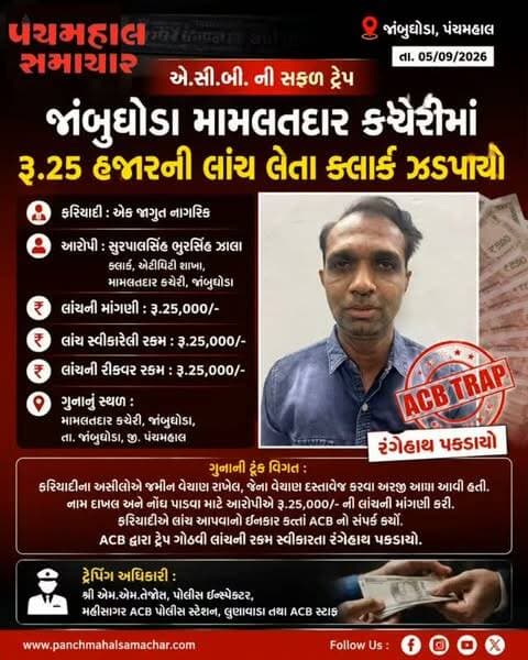 જાંબુઘોડા મામલતદાર કચેરીમાં ACBનો સપાટો : રૂ.25 હજારની લાંચ લેતા ક્લાર્ક રંગેહાથ ઝડપાયો
#panchamahalsamachar #jambughoda #news #topview