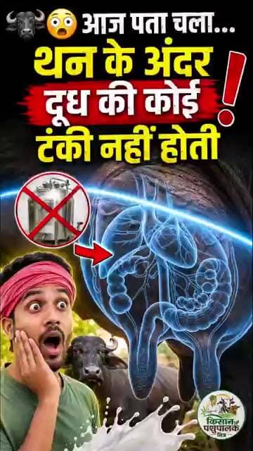🐃😳 आज पता चला... थन के अंदर दूध की कोई टंकी नहीं होती___जो चारा औ