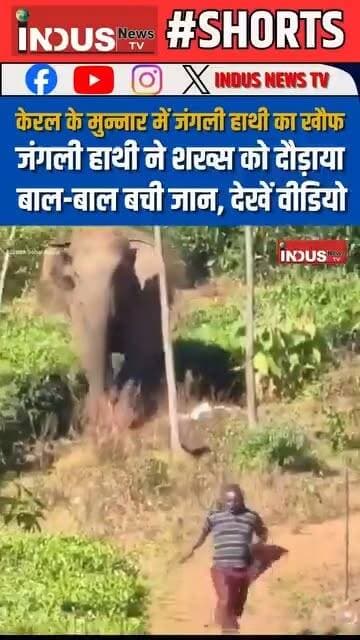 केरल के मुन्नार में जंगली हाथी ने शख्स को दौड़ाया, बाल-बाल बची जान, देखें वीडियो
#kerala #munnar #wildelephant #attack #viralvideoシ #LatestNews #BreakingNews #NewsUpdate #elephant #ElephantAttack #wildlife #wildanimals #animals #animalattack #newsfeed #viral #viralpost #viralreels #viralreelsシ #viralreelsfacebook #reelsviralシ #KeralaNews #munnarnews #shorts #reels #reelsvideoシ #reelsfbシ #reelsviralシ #newseason #newstock #NewsAlert #shortsvideos #shortsfeed