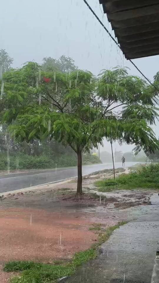 बारिश 🌧️🌧️🌧️