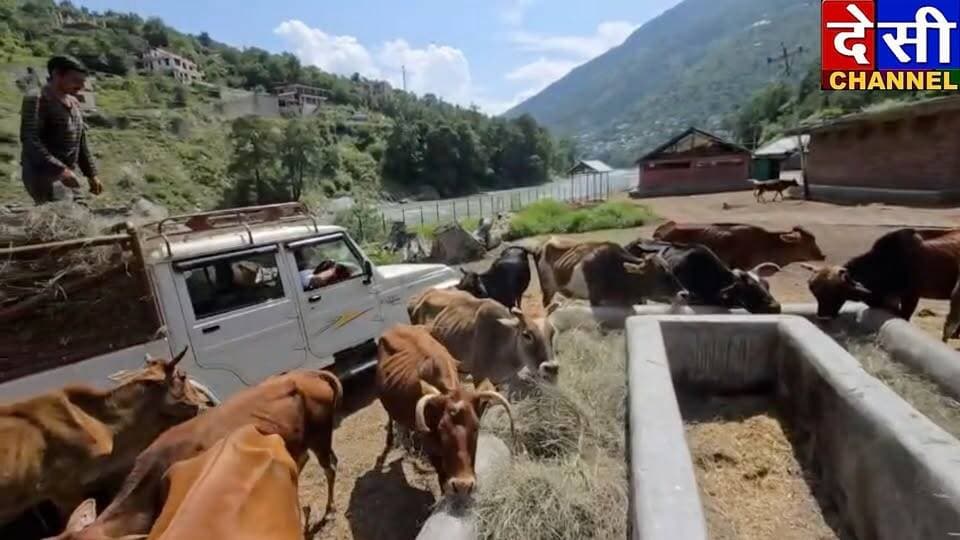 #kullu рдЦрд╛рдирд╛ рдЦрдЬрд╛рдирд╛ рд╢реЗрд░реЗ рдкрдВрдЬрд╛рдм рдХреЗ рдорд╛рд▓рд┐рдХ рдиреЗ 20 рднрд╛рджреЛрдВ рдХреЗ рдЙрдкрд▓рдХреНрд╖ рдкрд░ рдЧреМрдзрди рдХреЗ рд▓рд┐рдП рдШрд╛рд╕ рдХреА рдЬреАрдк рджрд╛рди рдХрд┐рдпрд╛ред
рджреЗрд╕реА рдЪреИрдирд▓ рдХреБрд▓реНрд▓реВ
рдЦрд╛рдирд╛ рдЦрдЬрд╛рдирд╛ рд╢реЗрд░реЗ рдкрдВрдЬрд╛рдм рдХреЗ рдорд╛рд▓рд┐рдХ рдордВрдЬреВ рдард╛рдХреБрд░ рджрд┐рдиреЗрд╢ рдард╛рдХреБрд░ рдХреЗ рджреНрд╡рд╛рд░рд╛ рдЧреМ рд╕реЗрд╡рд╛ рд░рдХреНрд╖рд╛ рджрд▓ рдХреБрд▓реНрд▓реБ рдХреЗ рдорд╛рдзреНрдпрдо рд╕реЗ 20 рднрд╛рджреЛрдВ рдЕрдзреНрдпрд╛рдкрдХ рджрд┐рд╡рд╕ рдХреЗ рдЕрд╡рд╕рд░ рдкрд░ рдЧреМ рдзрди рдХреЛ рдШрд╛рд╕ рдХреА рдЬреАрдк рдпрд╛рдиреА рдзрд╛рдо рджреА рдЧрдпреА рдЧреМ рд╕реЗрд╡рдХ рдХрдорд▓реЗрд╢ рдард╛рдХреБрд░ рдЯрд┐рдХрдо рд░рд╛рдо рдЫрд╛рдкреЗ рд░рд╛рдо рдиреЗрдЧреА рдЪреБрдиреА рдорд╣рдВрдд рдкрд┐рдВрдХреВ рднрдгреНрдбрд╛рд░реА рд╣реБрдХреНрдо рд░рд╛рдо рдкреВрд░реНрдг рдЪрдВрдж рдЪрдиреНрджреНрд░ рдард╛рдХреБрд░ рдмреЗрд▓реА рд░рд╛рдо рддрд░реБрдг рдХреБрдорд╛рд░ рддреБрд▓рд╕реА рджреЗрд╡реА рдЪрдиреНрджреНрд░рд╛ рдорд╣рдВрдд рдиреАрдЯреВ рд░рд╛рдо рдЖрд╢реБ рднрд╡рд╛рдиреА рджрддреНрдд рдЖрд▓реВ рдЦреВрдм рд░рд╛рдо рдХрд┐рд╢рди рд╕рд┐рдВрд╣ рдордиреНрдирдд рдиреЗрдЧреА рдкреНрд░рджреАрдк рдард╛рдХреБрд░ рдХрд░реНрдо рд╕рд┐рдВрд╣ рд╕реБрдорди рд╕реВрдж рдХрд╛рддреБ рд░рд╛рдо рдиреАрд░рдЬ рдХреБрдорд╛рд░ рд░реЛрд╢рди рдХреБрдорд╛рд░ рд╕реБрднрд╛рд╖ рдЬрддрд┐рди рдард╛рдХреБрд░ рджрд╛рд╕ рджреЗрд╡ рд░рд╛рдЬ рдЪреБрдиреА рдорд╣рдВрдд рдЧреБрд▓рд╛рдм рд╡рд┐рд╖реНрдЯ рд░реЛрд╣рд┐рдд рд╡рд┐рд╖реНрдЯ рдЧрд┐рд░рд┐рд░рд╛рдЬ рд╡рд┐рд╖реНрдЯ рд░рд╛рдо рд░рд╛рдЬ рдорд╣рдВрдд рднреВрдкреЗрдВрджреНрд░ рдард╛рдХреБрд░ рд╕рдЪрд┐рди рд╕реВрдж рд╕рддреАрд╢ рд░рд╛рдгрд╛ рд▓рд╡ рдХреБрд╢ рдмреЛрдиреА рд╕реЛрдиреА рд╕рднреА рджрд╛рдиреА рд╕рдЬрди рд╕рд╛рдерд┐рдпреЛрдВ рдХрд╛ рдЧреМ рд╕реЗрд╡рдХреЛрдВ рдХрд╛ рдЖрднрд╛рд░ рд╡реНрдпрдХреНрдд рдХрд┐рдпрд╛ рд╣реИ рдЧреМ рд╕реЗрд╡рд╛ рд░рдХреНрд╖рд╛ рджрд▓ рдХреБрд▓реНрд▓реБ рдХреЗ рдЕрдзреНрдпрдХреНрд╖ рд╢реЗрд░рд╛ рдиреЗрдЧреА
рджреЗрд╕реА рдЪреИрдирд▓ рдХреБрд▓реНрд▓реВ рджреЗрд╕реА рдЪреИрдирд▓ рджреЗрд╡рднреВрдорд┐ рдХреБрд▓реНрд▓реВ рджреЗрд╕реА рдЪреИрдирд▓ рдХреБрд▓реНрд▓реВ Shera negi