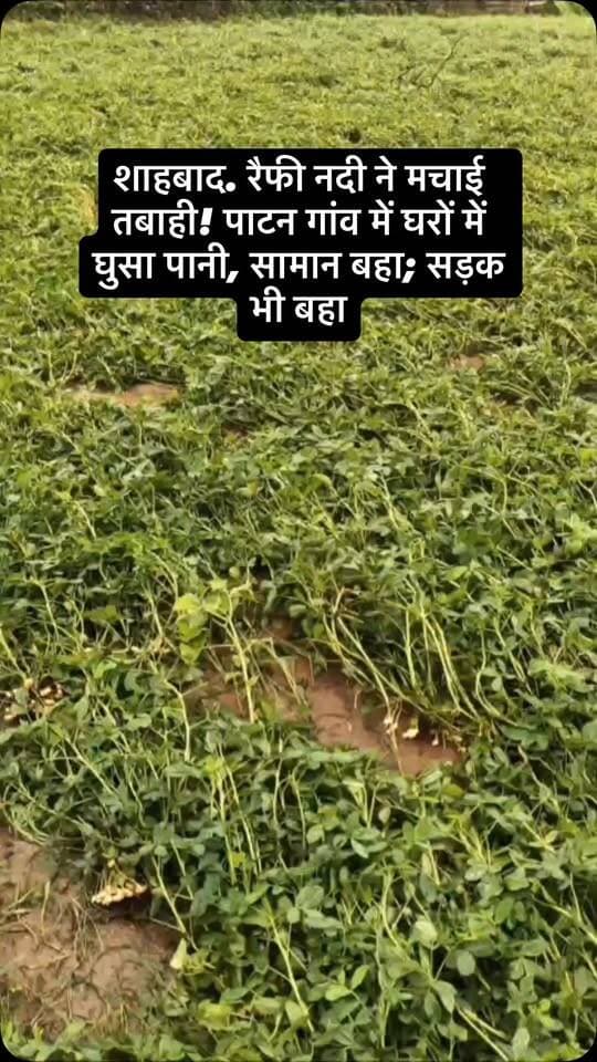 #viral #goankiawaaz #गांवकीआवाज #village #instagram
