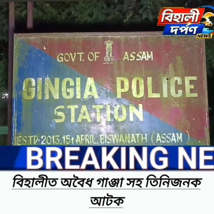 বিহালীত অবৈধ গাঞ্জাসহ তিনিজনক আটক জিনজিয়া আৰক্ষীৰ*✅✅✅#behalidarpan
