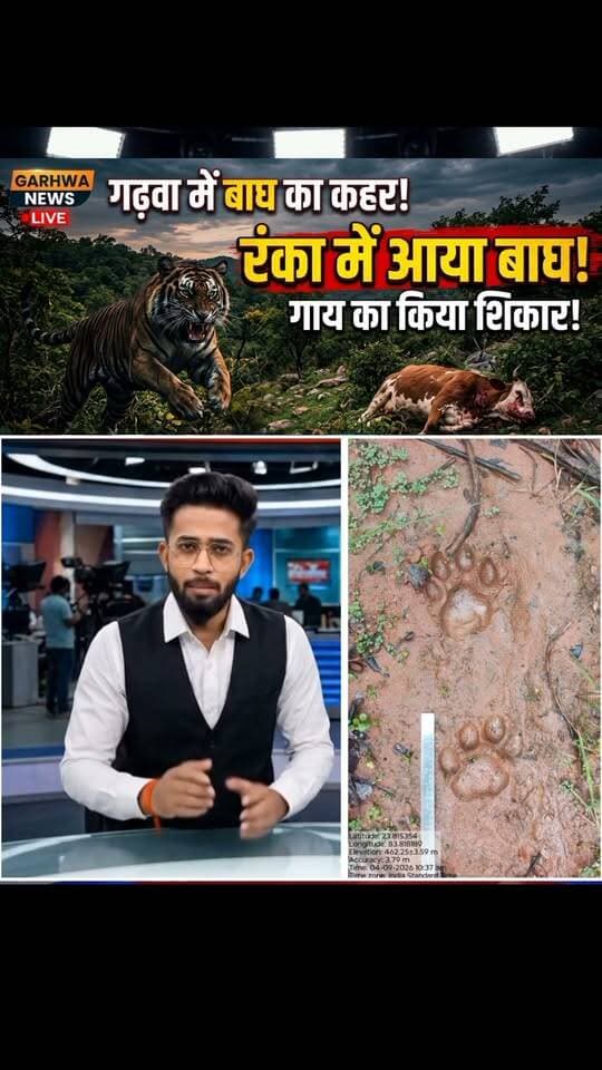 गढ़वा में बाघ ने किया हमला, रंका में मचा हड़कंप!
#garhwa #garhwanews #breakingnewsgarhwa #garhwanewstoday