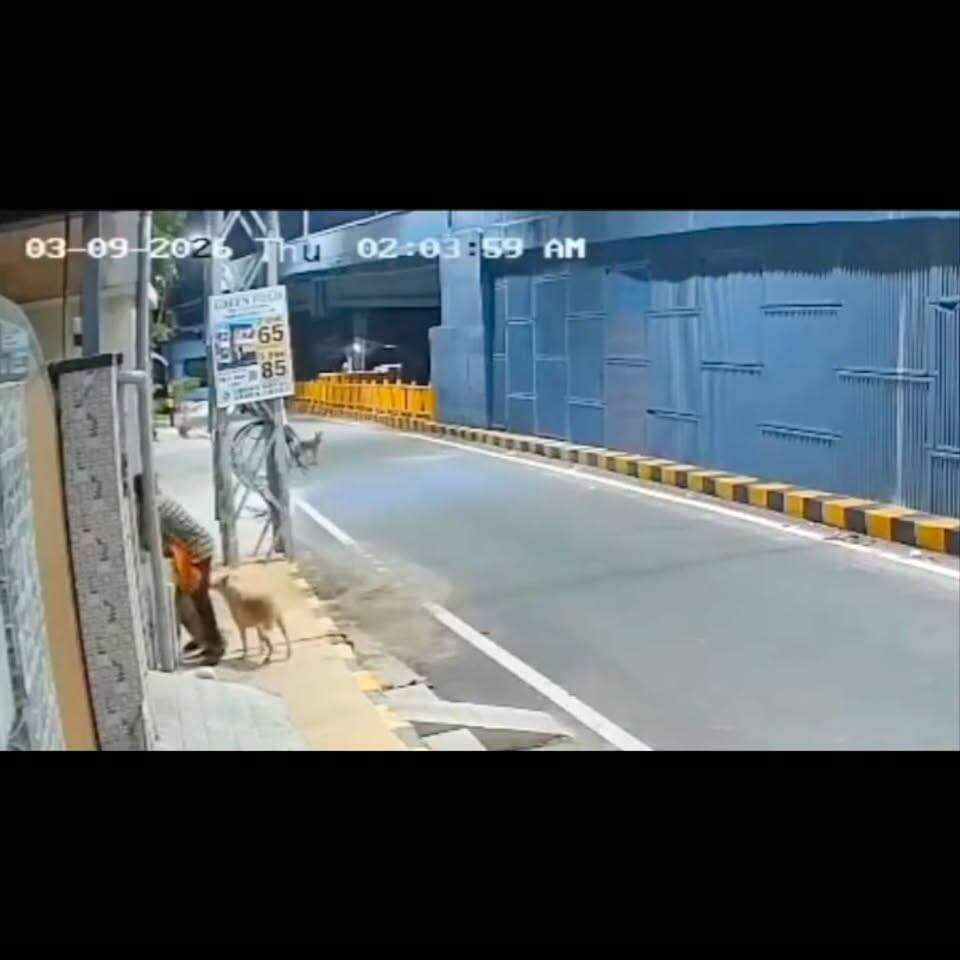 कुत्ता ने बचाया महिला की इज्जत, घटना की पूरी वारदात CCTV में कैद..अब वीडियो हो रहा है वायरल..