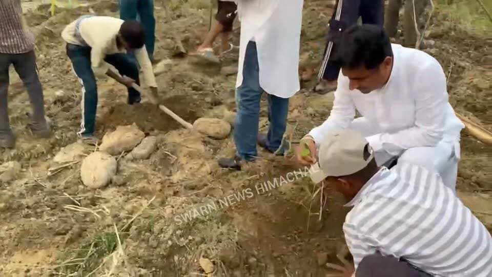 * विधायक रणबीर सिंह निक्का ने 5,000 पेड़ लगाने का संकल्प पूरा करने का अभियान शुरू किया।
* साथियों के साथ मिलकर पौधारोपण कर हरित नूरपुर का संदेश दिया।
* बोले—राजनीति चुनाव और भाषणों तक नहीं, जनसेवा तक सीमित रहनी चाहिए।
* 5,000 पौधे संख्या नहीं, बल्कि आने वाली पीढ़ियों के हरित भविष्य की नींव हैं-रणबीर निक्का