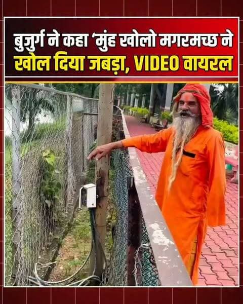 बुजुर्ग ने प्यार से बुलाया तो दौड़ा चला आया मगरमच्छ! वीडियो देख दंग रह गए लोग