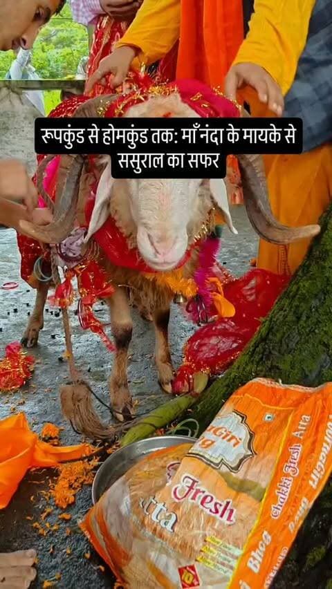 रूपकुंड से होमकुंड तक: माँ नंदा के मायके से ससुराल का सफर