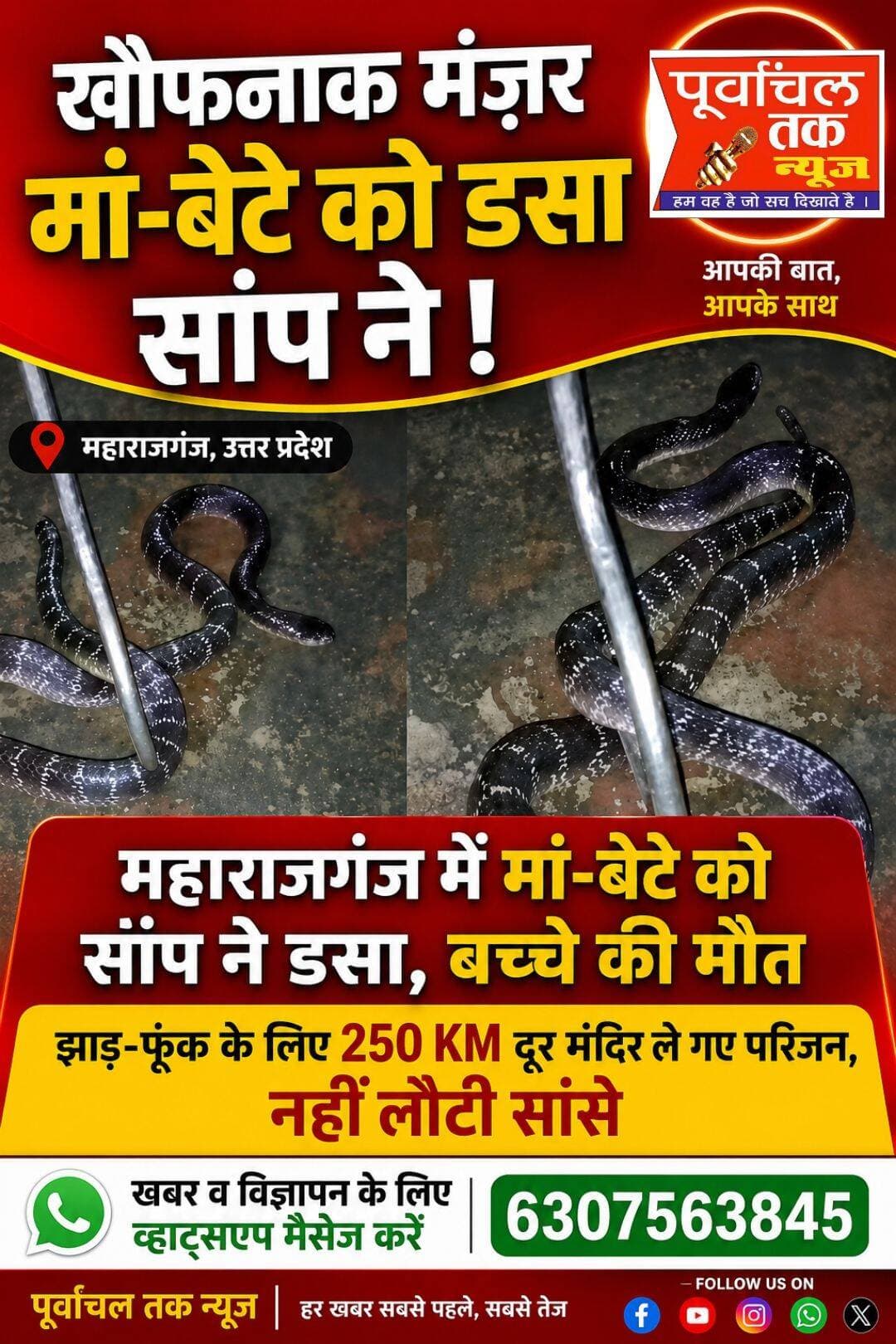 उत्तर प्रदेश के महराजगंज से चौंकाने वाला मामला सामने आया है। बेड पर सो रहे मां और उसके 11 साल के बेटे को सांप ने डस लिया। बच्चे की मौत हो गई। वहीं की हालत गंभीर देखते हुए गोरखपुर मेडिकल कॉलेज रेफर किया गया है, जहां इलाज चल रहा है।
यह पूरा मामला मधुबनी टोला पोखरहवा गांव का है। कृष्ण मुरारी यादव शहर में मेडिकल रिप्रेजेंटेटिव (MR) के तौर पर काम करते हैं। रात में उनकी पत्नी सुगंधा और दो बेटे आयुष (13) और अर्पित (11) घर में सो रहे थे। बताया जा रहा है कि सांप खिड़की के सहारे कमरे की दीवार पर चढ़ा और बेड पर गिर गया।उसने सबसे पहले बच्चे के अंगूठे पर डसा, जिससे बच्चे ने शोर मचाया और मां की नींद खुल गई। जब तक वह कुछ समझ पाती, सांप ने उसके गाल पर भी डस लिया। मां के शोर मचाने पर परिजन मौके पर पहुंचे और दोनों को संयुक्त चिकित्सालय महराजगंज ले गए, जहां डॉक्टरों ने बच्चे को मृत घोषित कर दिया, जबकि महिला को गोरखपुर मेडिकल कॉलेज रेफर किया गया। वहीं, परिजन बच्चे को जिंदा होने की उम्मीद में 250 किलो मीटर दूर गाजीपुर जिले के एक मंदिर में ले गए। वहां महंत ने करीब 20 मिनट तक बच्चे को मूर्ति के सामने लिटाकर झाड़-फूंक की। जब कोई हलचल नहीं हुई तो महंत ने बच्चे के जीवित न होने की बात कही, जिसके बाद परिजन शव लेकर वापस लौट आए।
<nis:link nis:type=tag nis:id=maharajganj nis:value=maharajganj nis:enabled=true nis:link/> <nis:link nis:type=tag nis:id=uttarpradesh nis:value=UttarPradesh nis:enabled=true nis:link/> <nis:link nis:type=tag nis:id=newsupdate nis:value=NewsUpdate nis:enabled=true nis:link/>