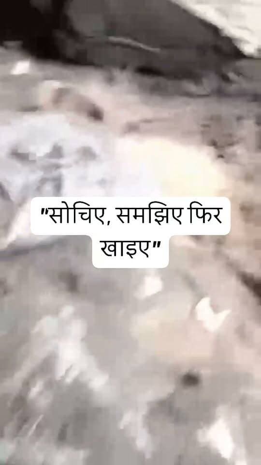 आँखें खोल देने वाला वीडियो
"लो भाई और खाओ राजश्री!" - देखिए कैसे बनता है गुटखा, जमीन की धूल में सना जहर!
ये देखिए वीडियो... जहाँ आपके पसंदीदा राजश्री गुटखे को बनाया जा रहा है। धूल-मिट्टी में पड़ी बोरियां, जमीन पर बिखरा हुआ माल, और पैरों तले रौंदा जा रहा जहर, जिसे आप बड़े शौक से खाते हैं।
वीडियो बनाने वाला खुद कह रहा है - "और खाओ राजश्री भाई देखो, कितना धूल-धूल हो रखा है।"
हर पाउच पर लिखा होता है "तंबाकू से कैंसर होता है" फिर भी भारत के 28 करोड़ से ज्यादा लोग रोज ये जहर खाते हैं।
क्या अभी भी खाओगे? कोई एक फायदा बता दो इस गुटखे का
#DDMNEWS #Rajshri #GutkhaFactory #ViralVideo #RajshriGutkha #Tobacco #Cancer #NoTobacco #HealthAwareness #GutkhaBan #UPNews
---