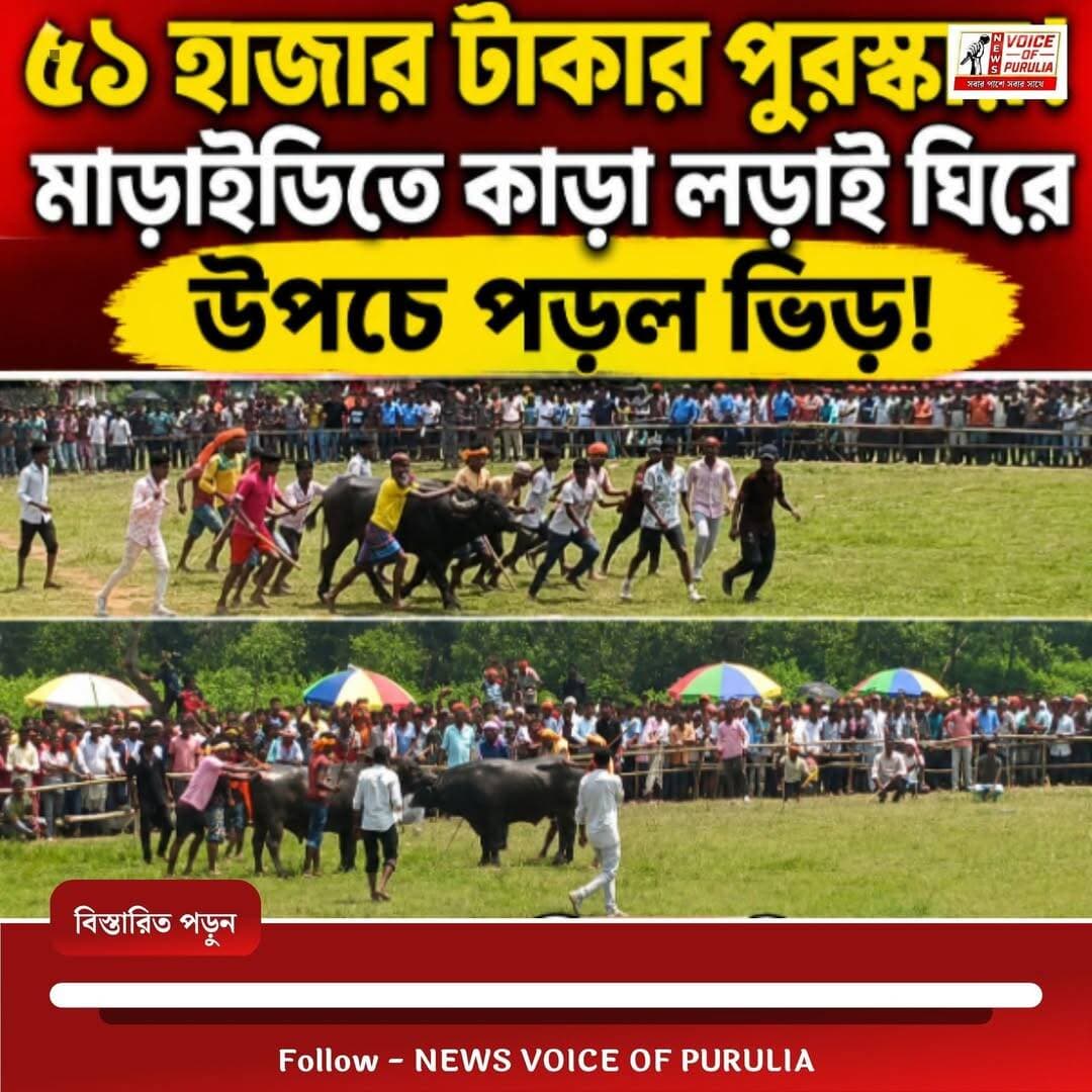 ৫১ হাজার টাকার পুরস্কার! মাড়াইডিতে কাড়া লড়াই ঘিরে উপচে পড়ল ভিড়// বিস্তারিত দেখুন
https://newsvoiceofpurulia.com/news/459