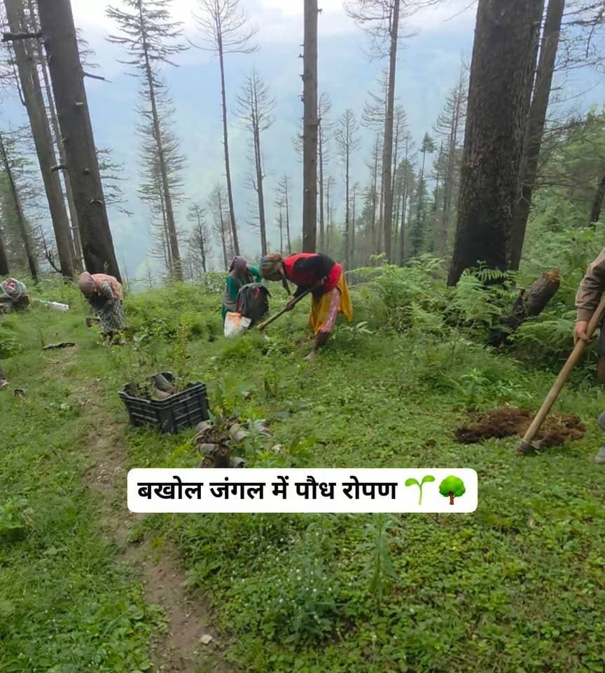 जंगल में पौध रोपण 🌱🌳
पेड़ केवल प्रकृति की सुंदरता नहीं, बल्कि हमारे जीवन का आधार हैं। जंगलों में अधिक से अधिक पौधे लगाकर हम पर्यावरण को सुरक्षित रख सकते हैं। पेड़ मिट्टी का कटाव रोकते हैं, वर्षा चक्र को बनाए रखने में मदद करते हैं और वन्यजीवों को आश्रय देते हैं।
आइए, पौधा लगाएँ, जंगल बचाएँ और आने वाली पीढ़ियों के लिए हराभरा भविष्य बनाएँ। 🌿