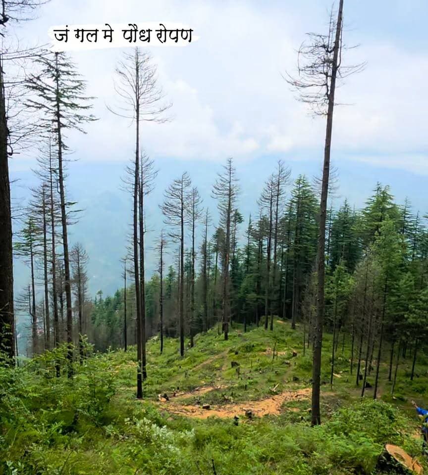जंगल में पौध रोपण 🌱🌳
पेड़ केवल प्रकृति की सुंदरता नहीं, बल्कि हमारे जीवन का आधार हैं। जंगलों में अधिक से अधिक पौधे लगाकर हम पर्यावरण को सुरक्षित रख सकते हैं। पेड़ मिट्टी का कटाव रोकते हैं, वर्षा चक्र को बनाए रखने में मदद करते हैं और वन्यजीवों को आश्रय देते हैं।
आइए, पौधा लगाएँ, जंगल बचाएँ और आने वाली पीढ़ियों के लिए हराभरा भविष्य बनाएँ। 🌿