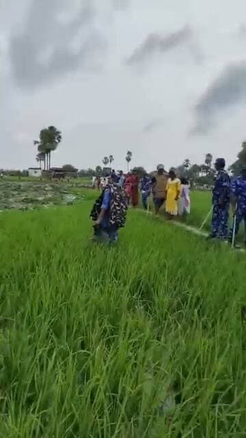 बिहार के नवादा में किसानों की लहलहाती फसल पर चली बुलडोजर,रोते-बिलखते रह गए किसान।