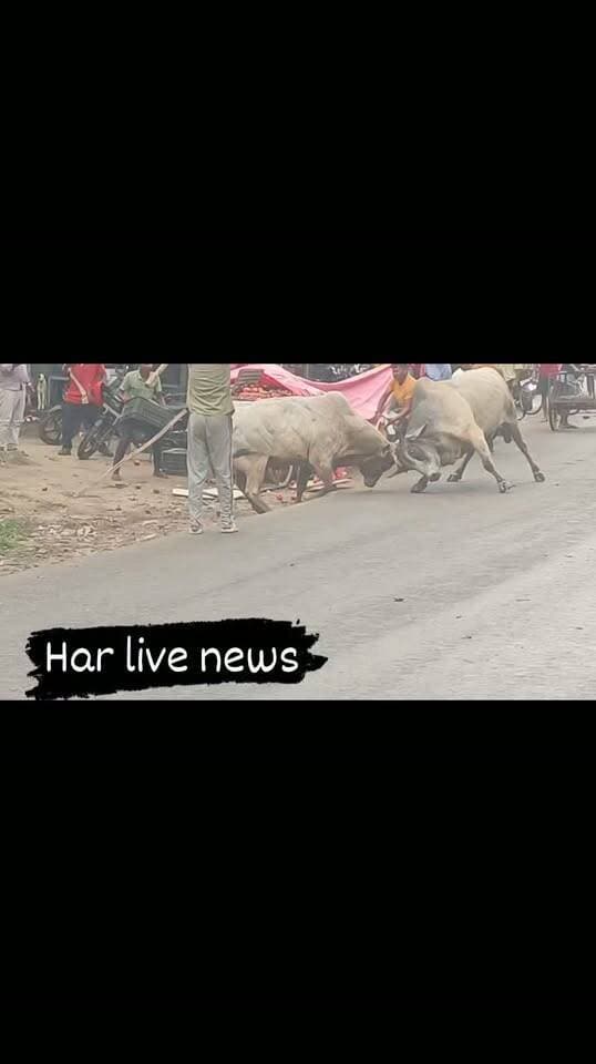 लाइव देखिए जबरदस्त लड़ाई