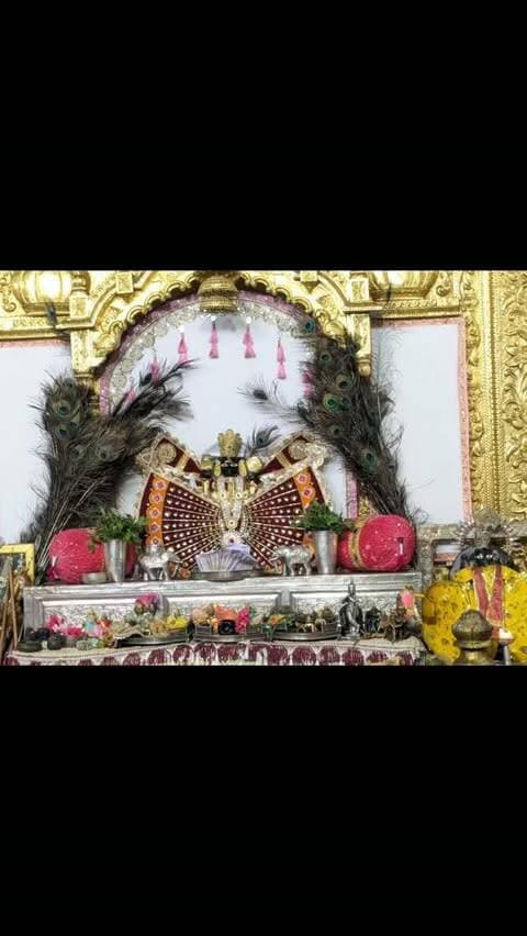 🌺 श्री सांवलिया सेठ जी के मंगला आरती के अलौकिक दर्शन 🌺
🙏 प्रभु आपकी जय हो… आज का दिन आपके आशीर्वाद से मंगलमय हो, सभी भक्तों पर अपनी कृपा बनाए रखना। 🙏