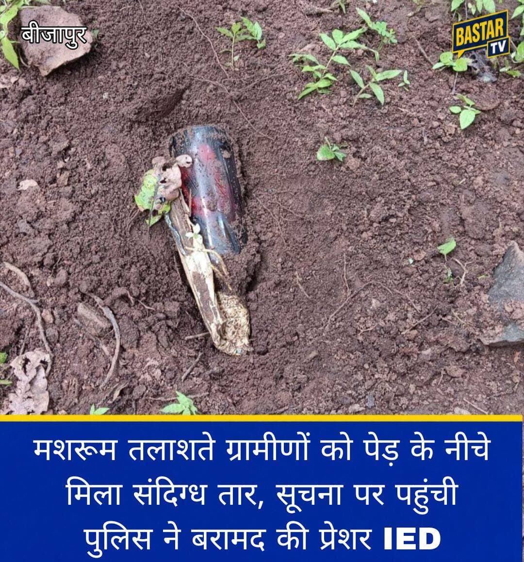मशरूम तलाशते ग्रामीणों को पेड़ के नीचे मिला संदिग्ध तार, सूचना पर पहुंची पुलिस ने बरामद की प्रेशर IED <nis:link nis:type=tag nis:id=chhattisgarh nis:value=chhattisgarh nis:enabled=true nis:link/> <nis:link nis:type=tag nis:id=sukma nis:value=sukma nis:enabled=true nis:link/>