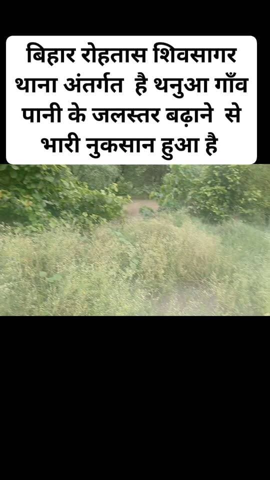 बिहार रोहतास शिवसागर थाना अंतर्गत है थनुआ गाँव पानी के जलस्तर बढ़ाने से किसानों के भारी नुकसान हुआ है सरकार से मांग करते हैं कि मुआवजा देना चाहिए