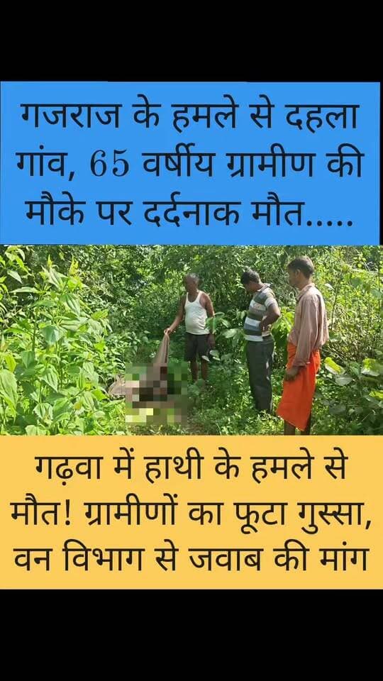 65 वर्षीय ग्रामीण को हाथी ने कुचलकर मार डाला, वन विभाग पर फूटा ग्रामीणों का गुस्सा, घंटे सड़क जाम
#Garhwa #JharkhandNews #GarhwaNews #BreakingNews #LatestNews #Chiniya #Jharkhand #LocalNews #ViralNews #NewsUpdate #BigNews #TrendingNews #GroundReport #NewsAlert