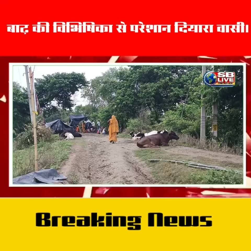 बाढ़ की विभिषिका से परेशान हैं दियारा क्षेत्र के लोग
#flood #Flood2026 #BreakingNews #HindiNews #USA #usareels #USAREELSVIRAL #usareelseries #usareelsonline