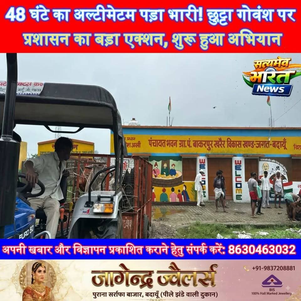 48 घंटे का अल्टीमेटम पड़ा भारी! छुट्टा गोवंश पर प्रशासन का बड़ा एक्शन, शुरू हुआ अभियान #Budaun #JagatBlock #GauVansh #LakshyaGupta #KisanNews #UPNews #BreakingNews सत्यमेव भारत न्यूज Tejan Rastogi