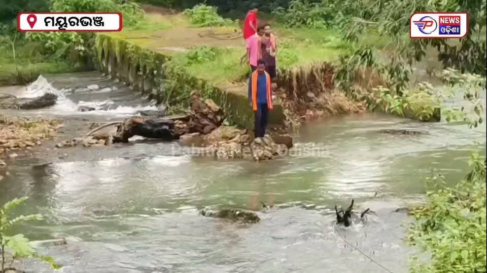 ମୟୂରଭଞ୍ଜ ଜିଲ୍ଲା ଠାକୁରମୁଣ୍ଡା ବ୍ଲକ କେଶଡିହା ଗ୍ରାମ ପଞ୍ଚାୟତ ମଣ୍ଡଳଝରି ଗ୍ରାମବାସୀ ମାତ୍ର ୨ କିମି ରାସ୍ତା ଅତିକ୍ରମ କରିବା ପାଇଁ ୧୦ କିମି ବୁଲିବାକୁ ପଡୁଛି। କିନ୍ତୁ ଗୋଟିଏ ନଦୀ ପ୍ରତିବନ୍ଧକ ସାଜିଥିବାରୁ ଏବେ ସେମାନଙ୍କୁ ୧୦ କିମି ବୁଲି ଯିବାକୁ ପଡୁଛି ଚିରୁପଦା । ଏଭଳି ସମସ୍ୟାରେ ପଡ଼ିଛନ୍ତି ଚିରୁପଦା ଓ ବଡ଼ବାଲିପୋଷି ଗ୍ରାମର ଶହ ଶହ ଆଦିବାସୀ ଲୋକ।
#BreakingNews #pabitranewsodishalive #latastnews #mayurbhanj #thakurmunda