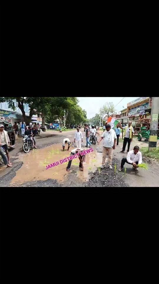 जमुई जिला के अलीगंज जमुई नवादा मुख्य मार्ग सड़क गढ़े में तब्दील हो गई है जिसका विरोध कांग्रेस कार्यकर्ताओं ने की और गढ़े में धान रोपनी कर राज्य सरकार का विरोध जताया। Facebook viral#Jamui district news #BJP #lgb #RJD #Congress