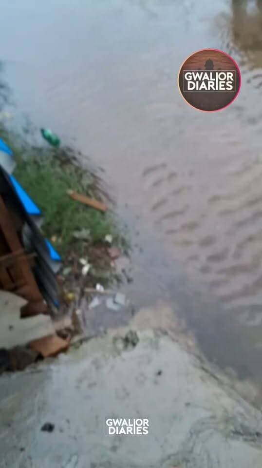 ग्वालियर में बारिश ने बिगाड़ी शहर की तस्वीर, निचली बस्तियां जलमग्न; घर-दुकानों में घुसा नाले का पानी...